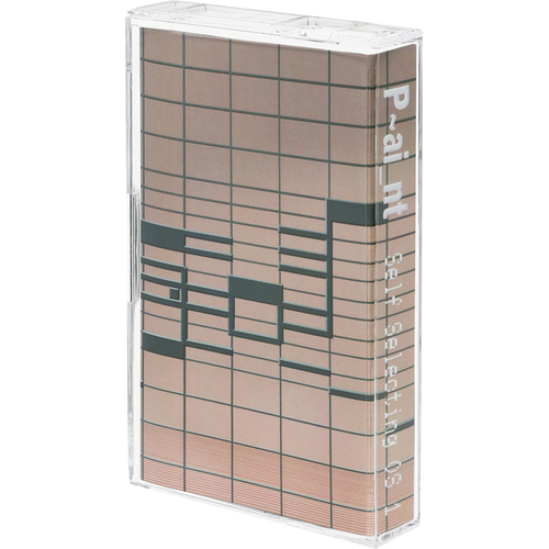 P~ai_nt - Self Selecting OS
